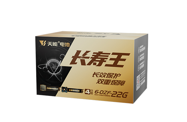 天能长命王系列